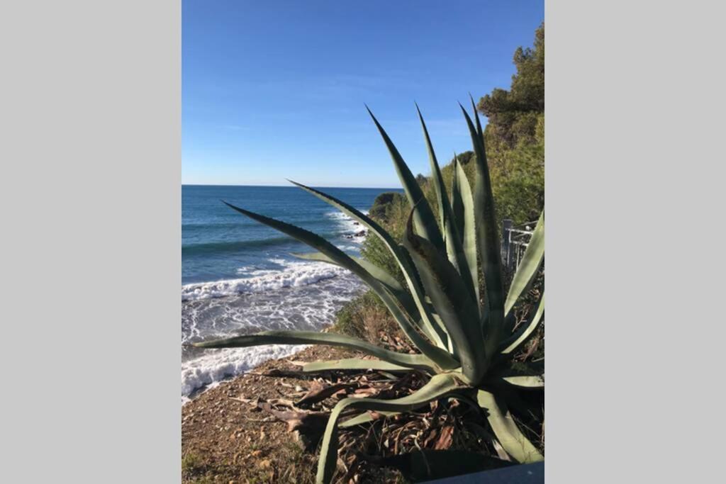 La Petite Pinede Studio Climatise Proche Plage Sanary-sur-Mer Zewnętrze zdjęcie